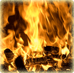 Feuer_2.0 Feuer_2.0